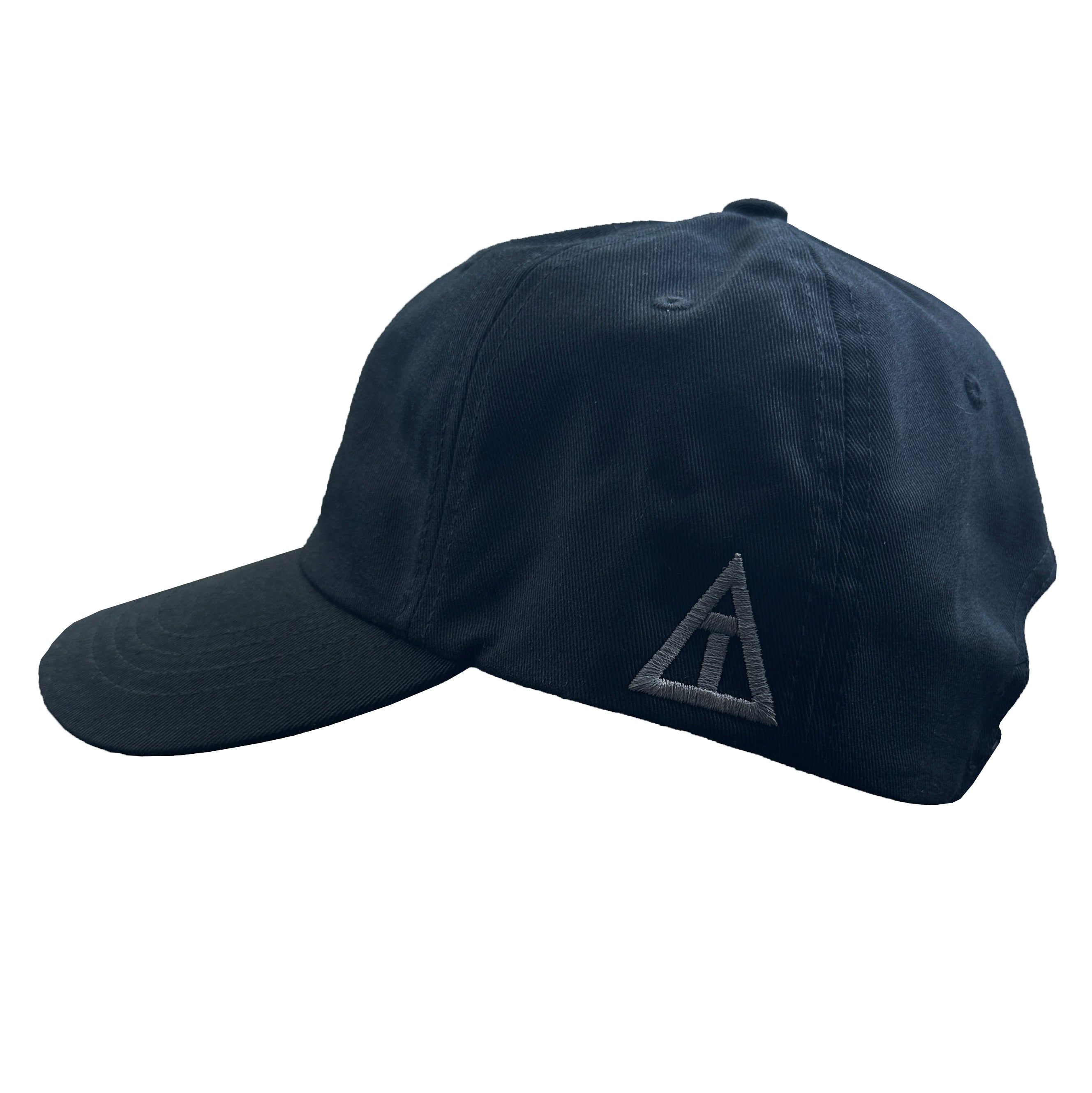 GREY RAID DAD HAT