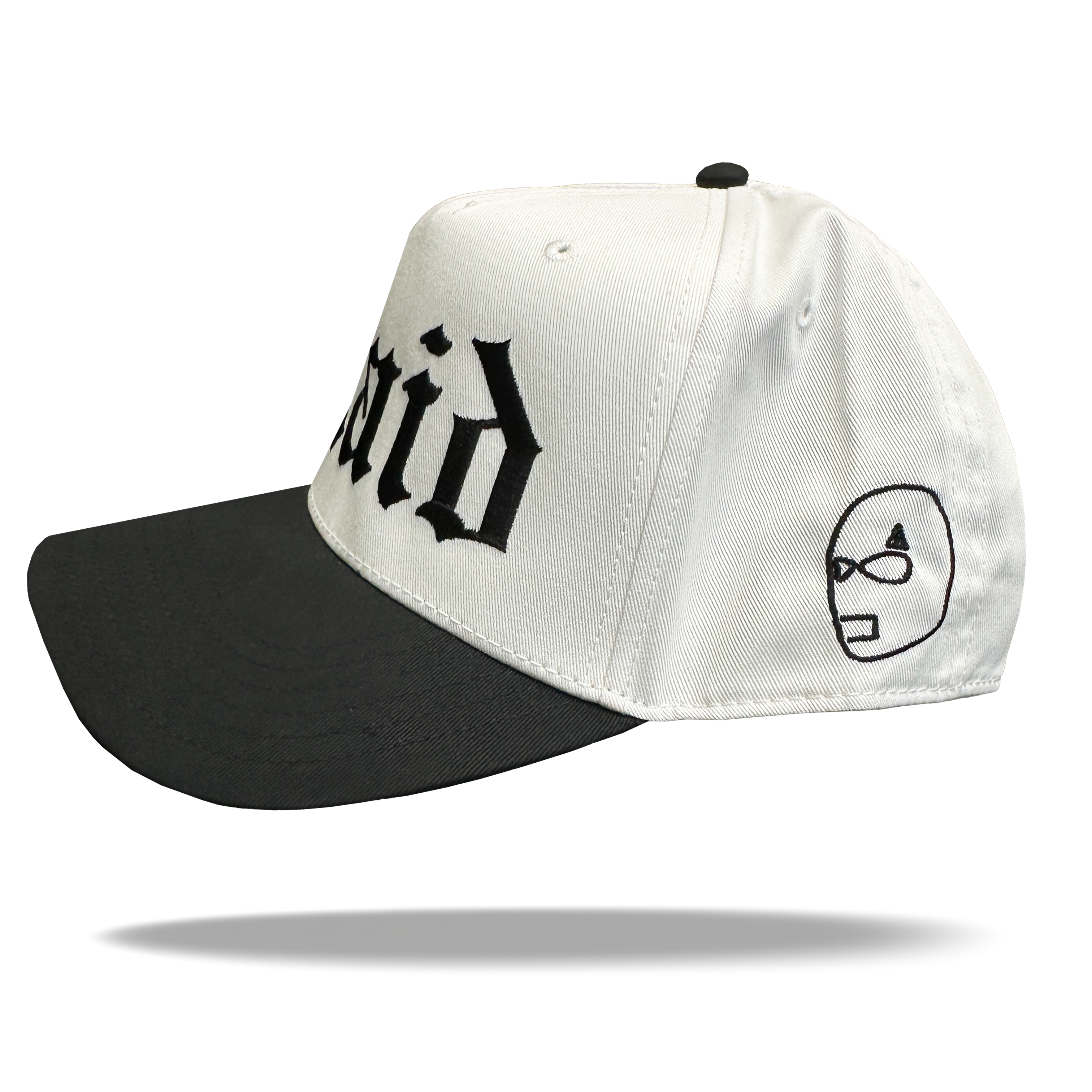 B&W RAID HAT